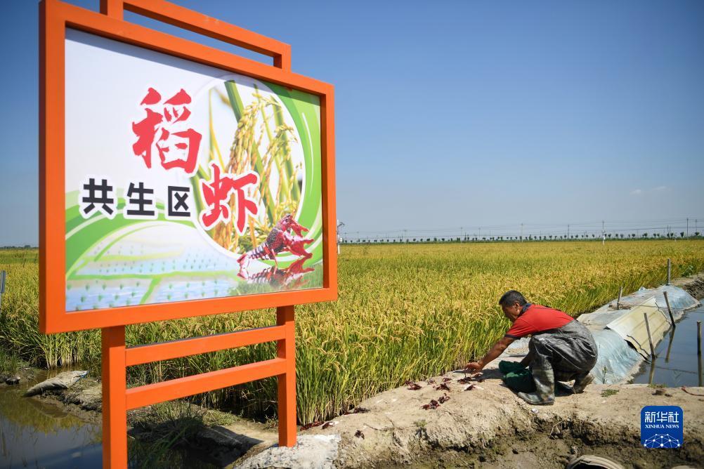八大国际网址